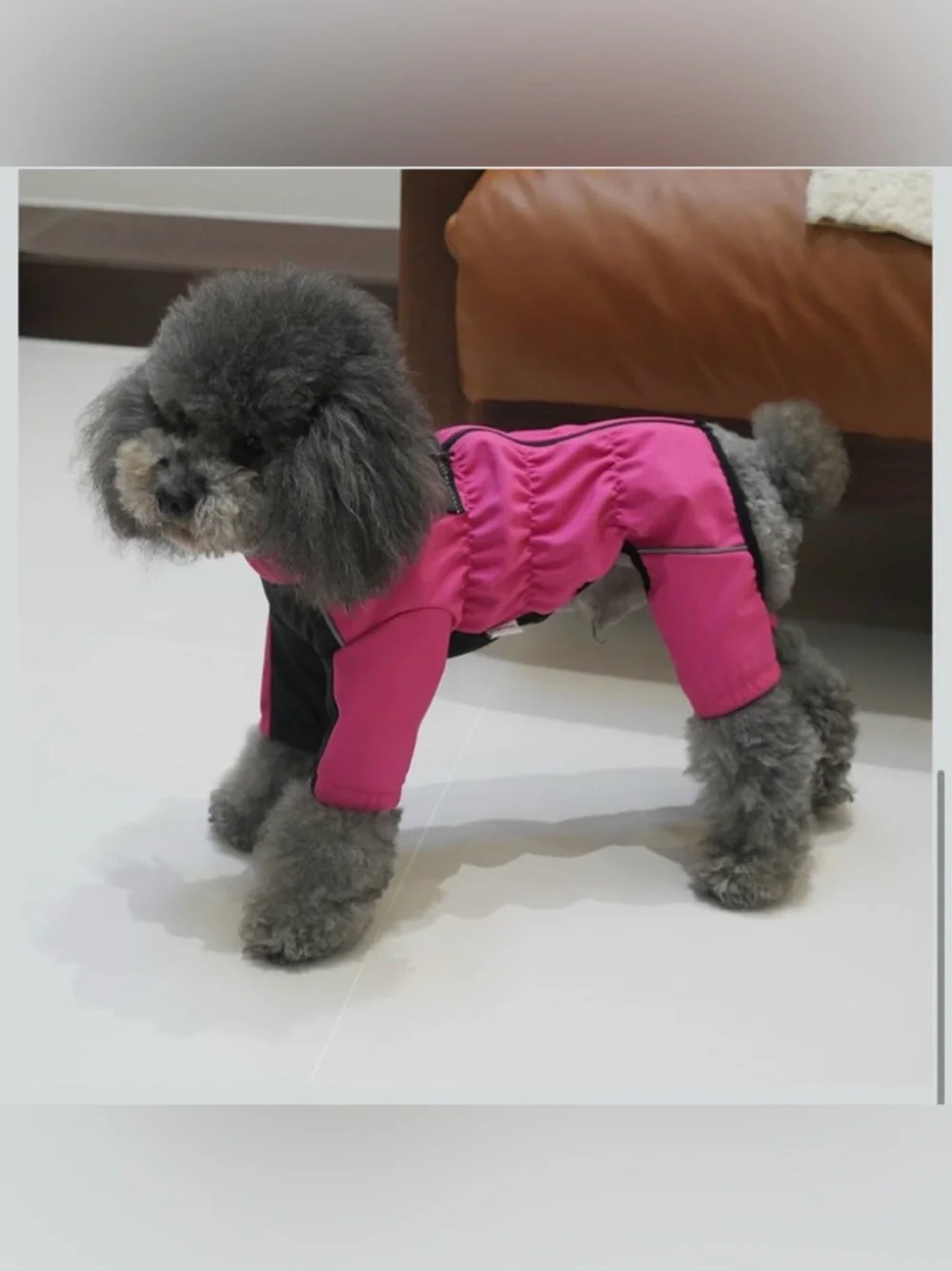 NWT 21.5” Back Full Body Outdoor Jacket with Leash Ring, Fleece Lining